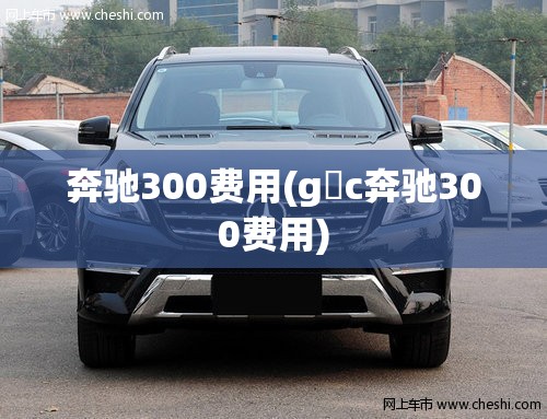 奔驰300费用(g乚c奔驰300费用) 奔驰300费用(g乚c奔驰300费用)