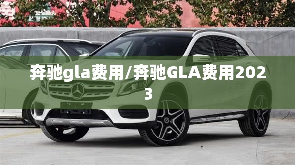 奔驰gla费用/奔驰GLA费用2023