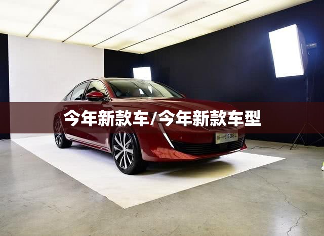 今年新款车/今年新款车型