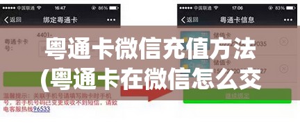 粤通卡微信充值方法(粤通卡在微信怎么交费的)