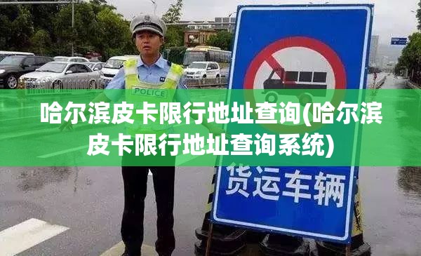 哈尔滨皮卡限行地址查询(哈尔滨皮卡限行地址查询系统) 哈尔滨皮卡限行地址查询(哈尔滨皮卡限行地址查询系统)