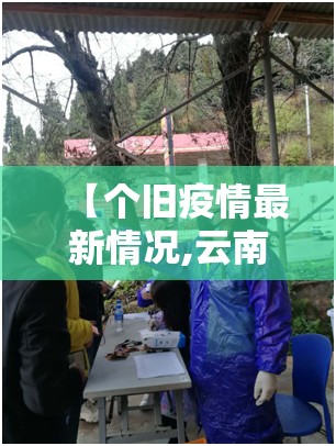 【个旧疫情最新情况,云南个旧市疫情风险等级】