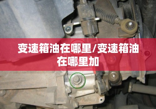 变速箱油在哪里/变速箱油在哪里加 变速箱油在哪里/变速箱油在哪里加