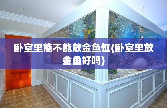 卧室里能不能放金鱼缸(卧室里放金鱼好吗)