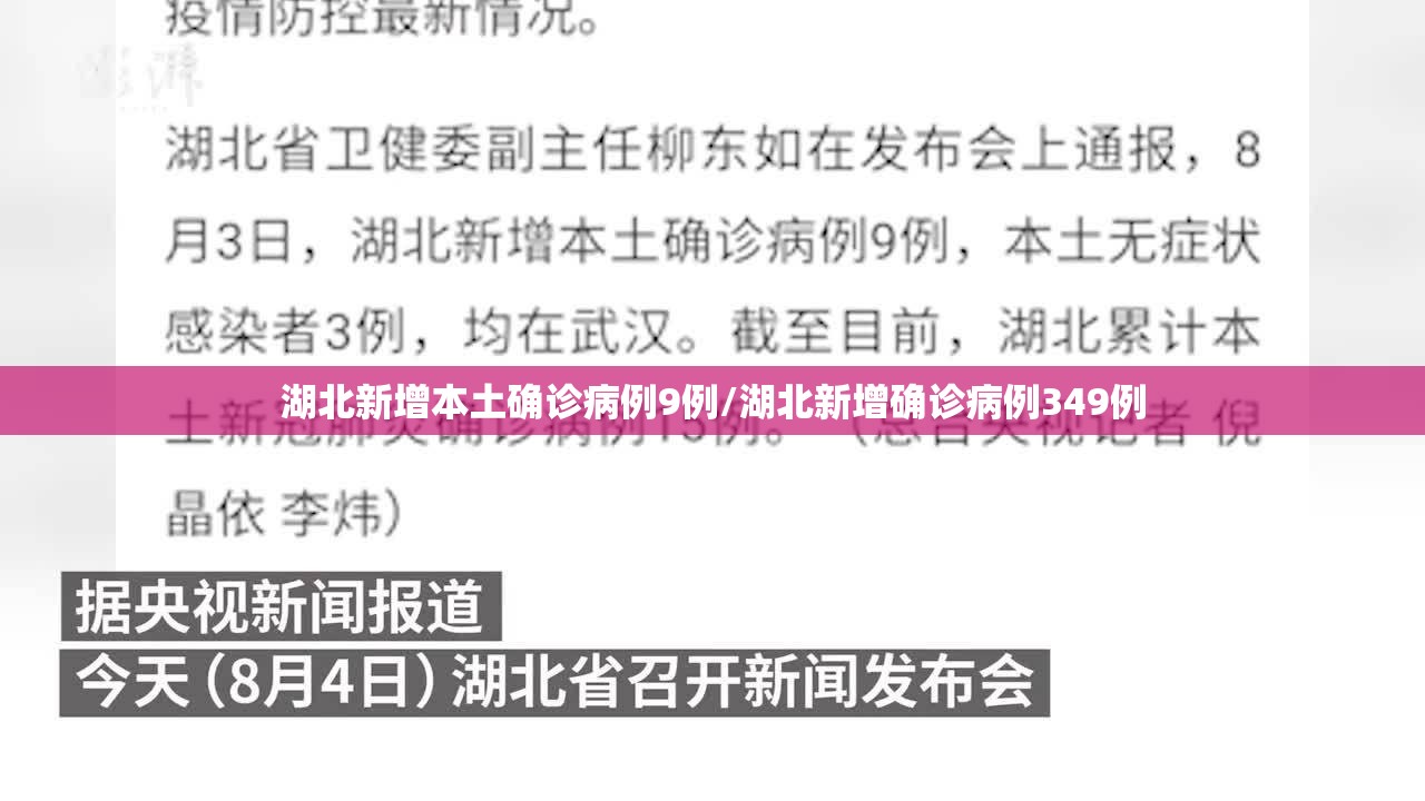 湖北新增本土确诊病例9例/湖北新增确诊病例349例