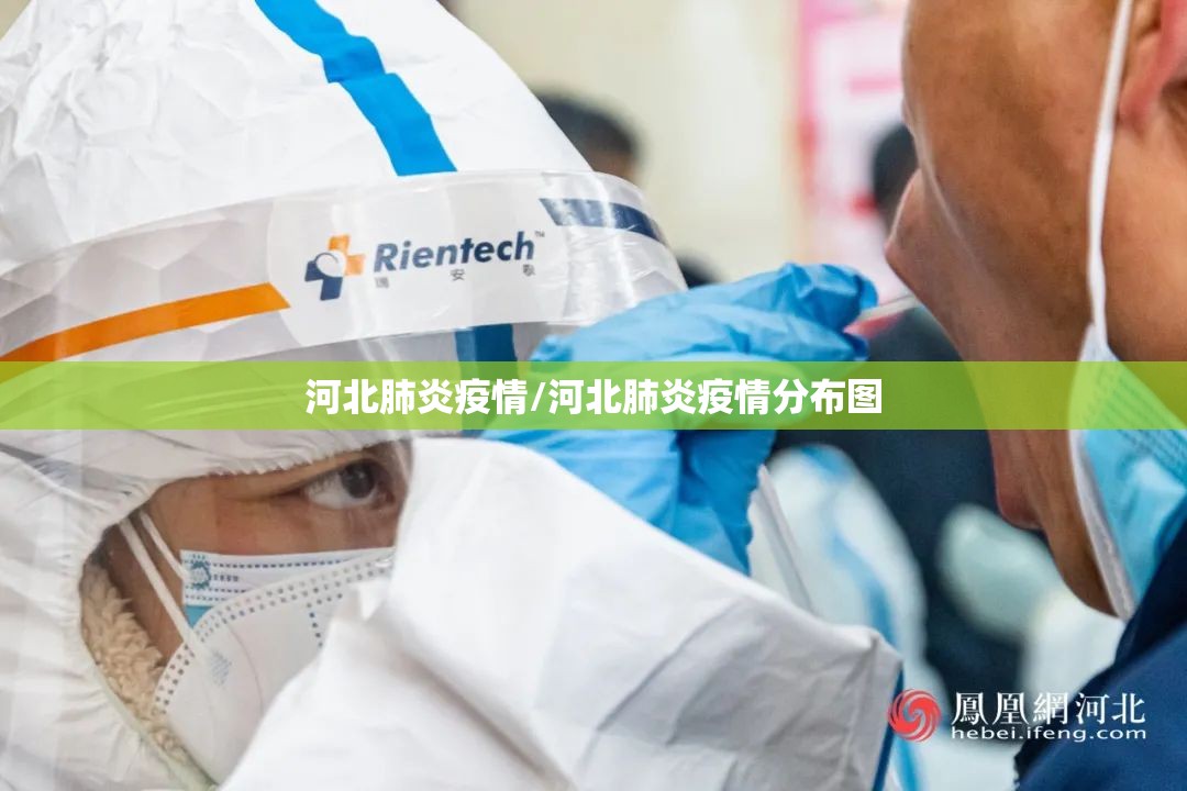 河北肺炎疫情/河北肺炎疫情分布图