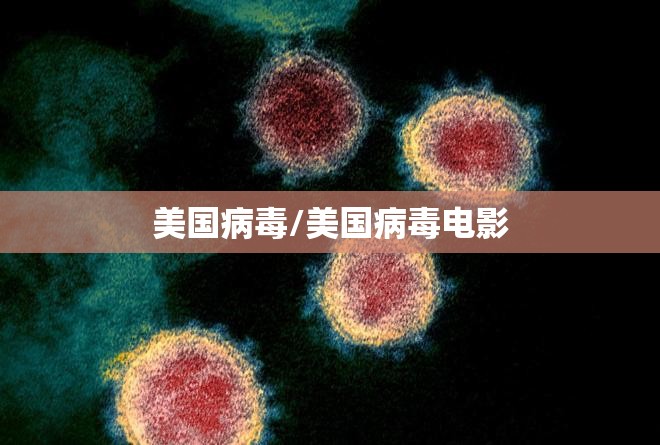 美国病毒/美国病毒电影