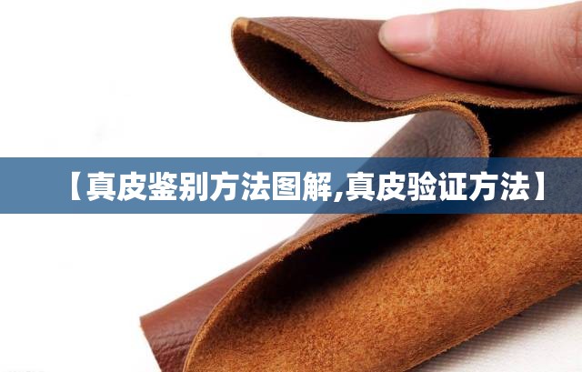 【真皮鉴别方法图解,真皮验证方法】