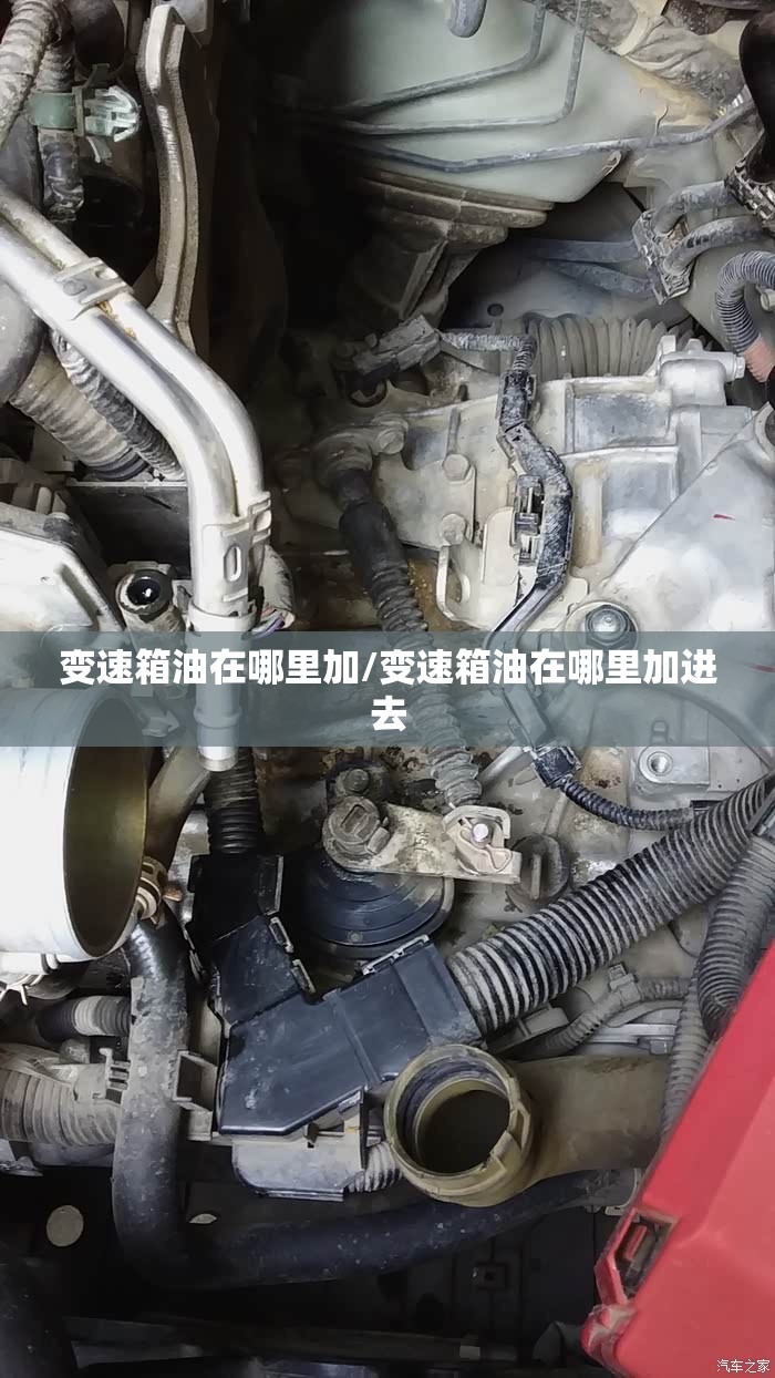 变速箱油在哪里加/变速箱油在哪里加进去