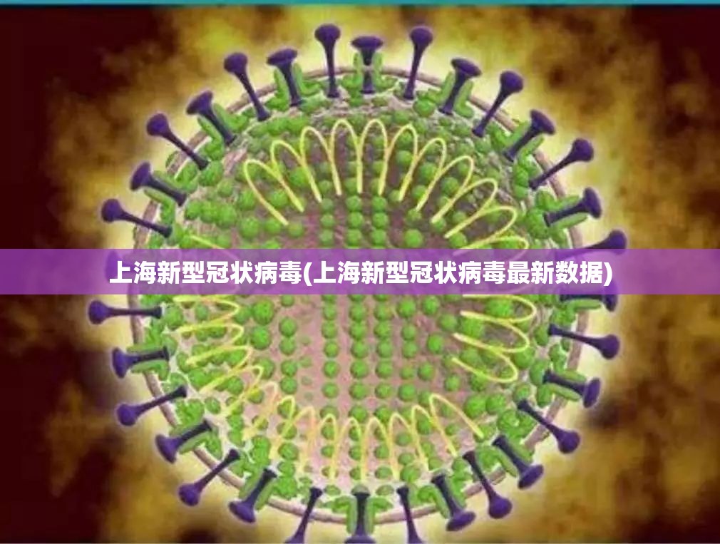 上海新型冠状病毒(上海新型冠状病毒最新数据) 上海新型冠状病毒(上海新型冠状病毒最新数据)