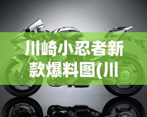 川崎小忍者新款爆料图(川崎小忍者摩托车图片) 川崎小忍者新款爆料图(川崎小忍者摩托车图片)