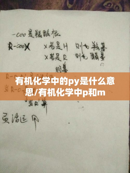 有机化学中的py是什么意思/有机化学中p和m 有机化学中的py是什么意思/有机化学中p和m
