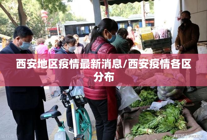 西安地区疫情最新消息/西安疫情各区分布 西安地区疫情最新消息/西安疫情各区分布