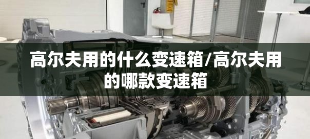 高尔夫用的什么变速箱/高尔夫用的哪款变速箱 高尔夫用的什么变速箱/高尔夫用的哪款变速箱