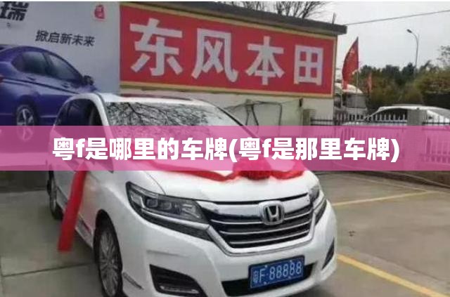 粤f是哪里的车牌(粤f是那里车牌)