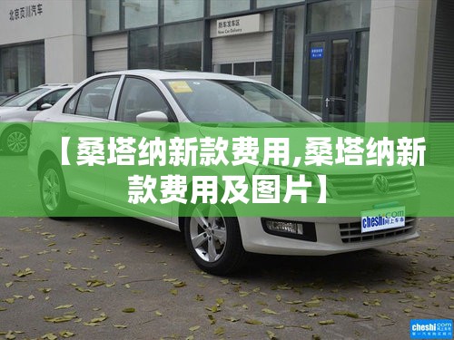 【桑塔纳新款费用,桑塔纳新款费用及图片】