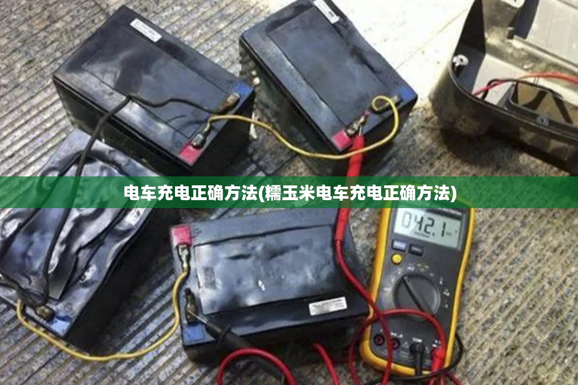 电车充电正确方法(糯玉米电车充电正确方法) 电车充电正确方法(糯玉米电车充电正确方法)
