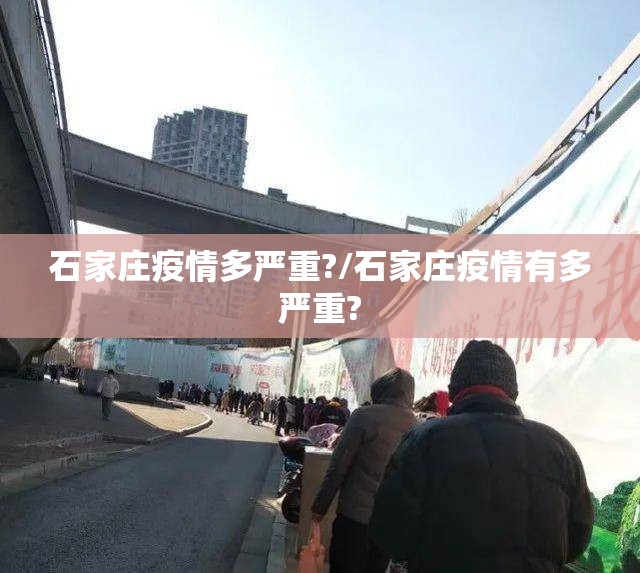 石家庄疫情多严重?/石家庄疫情有多严重?