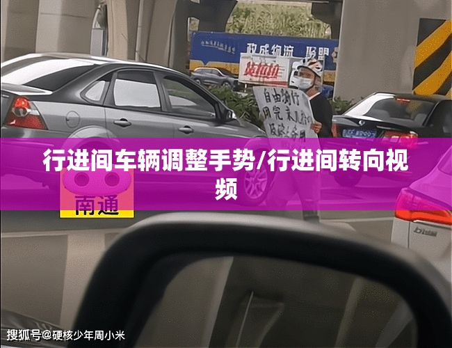 行进间车辆调整手势/行进间转向视频 行进间车辆调整手势/行进间转向视频