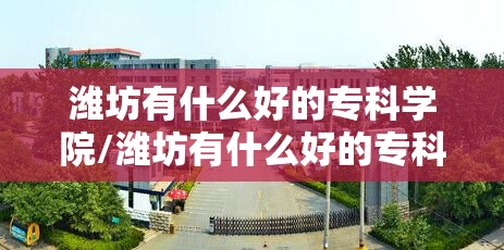潍坊有什么好的专科学院/潍坊有什么好的专科学院有哪些 潍坊有什么好的专科学院/潍坊有什么好的专科学院有哪些