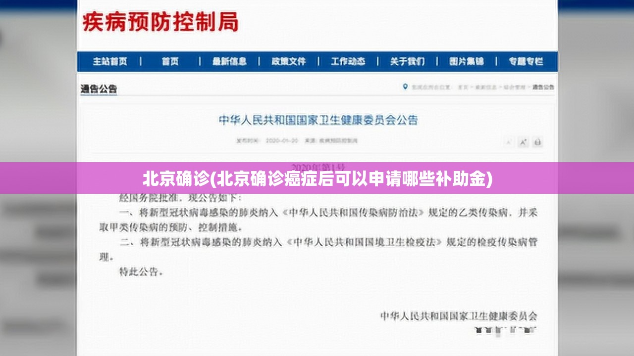 北京确诊(北京确诊癌症后可以申请哪些补助金)