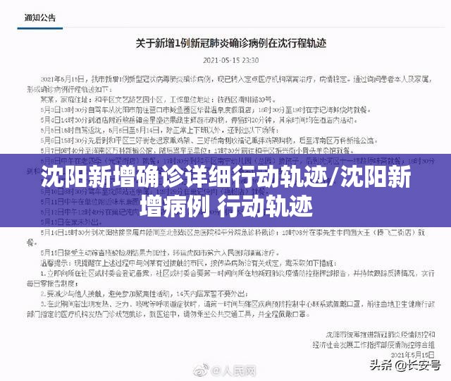 沈阳新增确诊详细行动轨迹/沈阳新增病例 行动轨迹