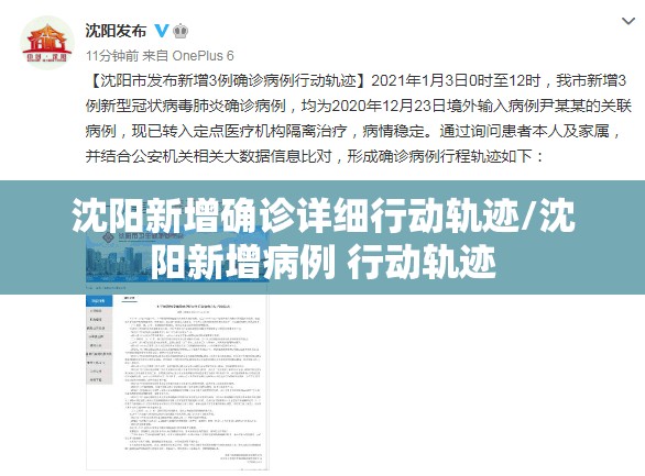 沈阳新增确诊详细行动轨迹/沈阳新增病例 行动轨迹