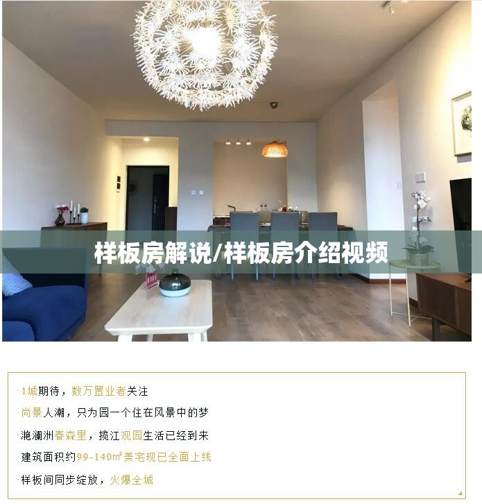 样板房解说/样板房介绍视频 样板房解说/样板房介绍视频