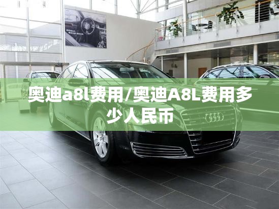奥迪a8l费用/奥迪A8L费用多少人民币 奥迪a8l费用/奥迪A8L费用多少人民币