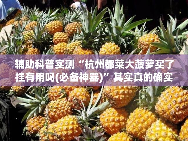 辅助科普实测“杭州都莱大菠萝买了挂有用吗(必备神器)	”其实真的确实有挂