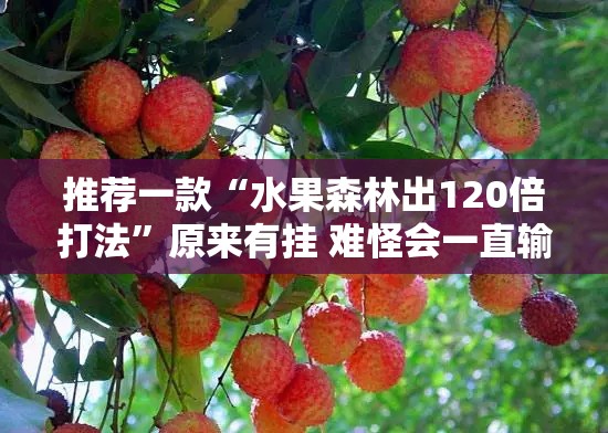 推荐一款“水果森林出120倍打法	”原来有挂 难怪会一直输