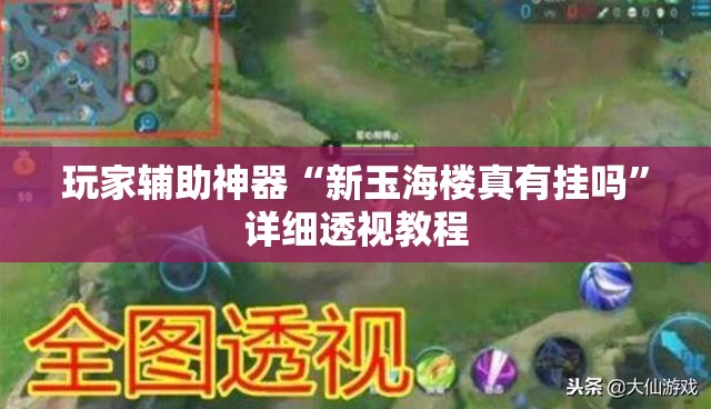 玩家辅助神器“新玉海楼真有挂吗	”详细透视教程