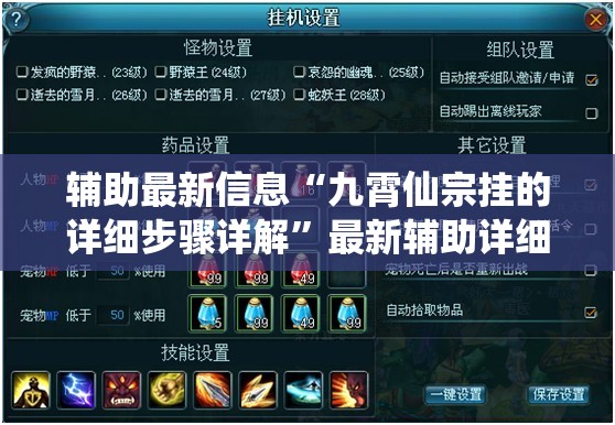 辅助最新信息“九霄仙宗挂的详细步骤详解	”最新辅助详细教程