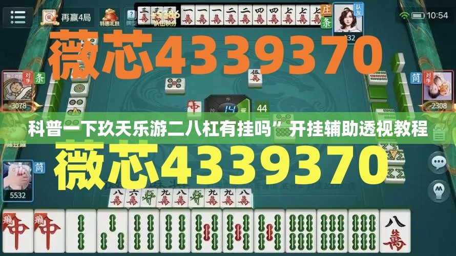 科普一下玖天乐游二八杠有挂吗”开挂辅助透视教程