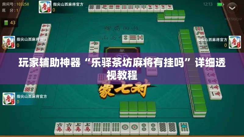 玩家辅助神器“乐驿茶坊麻将有挂吗”详细透视教程