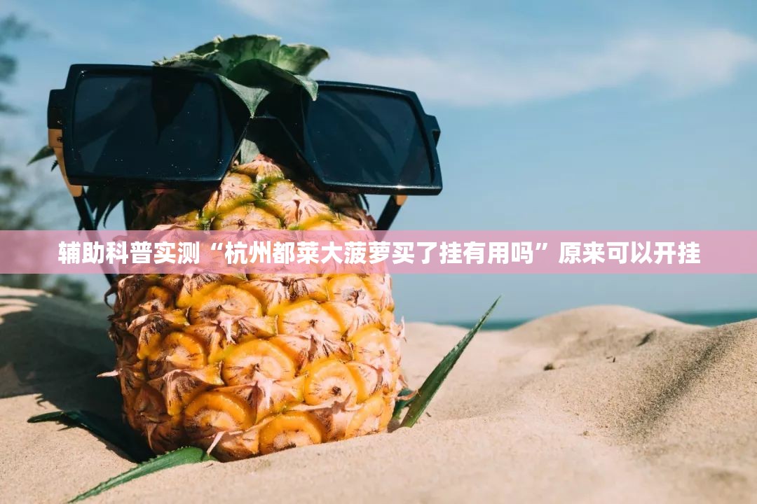 辅助科普实测“杭州都莱大菠萝买了挂有用吗”原来可以开挂
