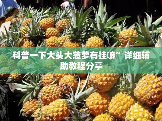 科普一下大头大菠萝有挂嘛”详细辅助教程分享