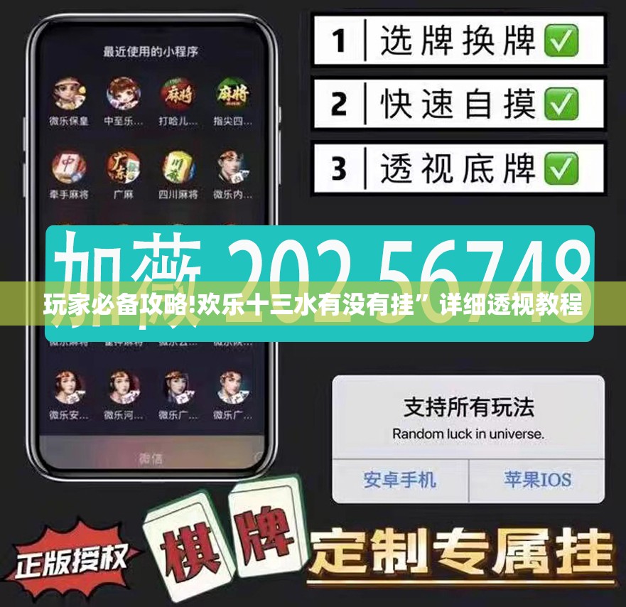 玩家必备攻略!欢乐十三水有没有挂”详细透视教程