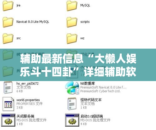 辅助最新信息“大懒人娱乐斗十四卦”详细辅助软件教程