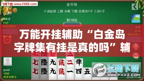 万能开挂辅助“白金岛字牌集有挂是真的吗	”辅助透视教程