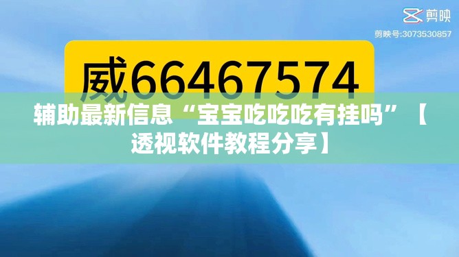 辅助最新信息“宝宝吃吃吃有挂吗”【透视软件教程分享】