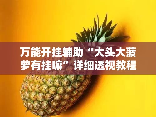 万能开挂辅助“大头大菠萝有挂嘛	”详细透视教程