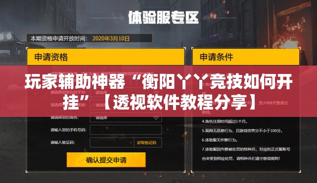 玩家辅助神器“衡阳丫丫竞技如何开挂”【透视软件教程分享】