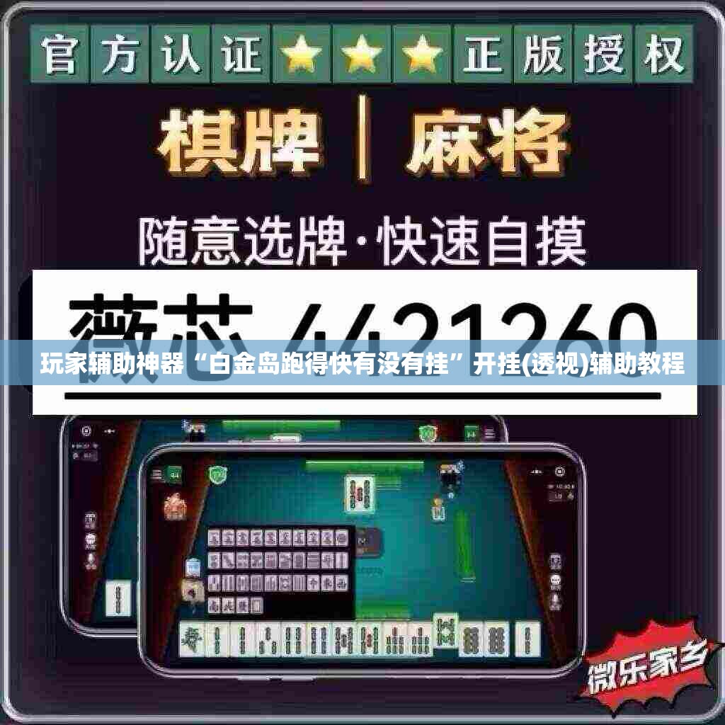 玩家辅助神器“白金岛跑得快有没有挂	”开挂(透视)辅助教程
