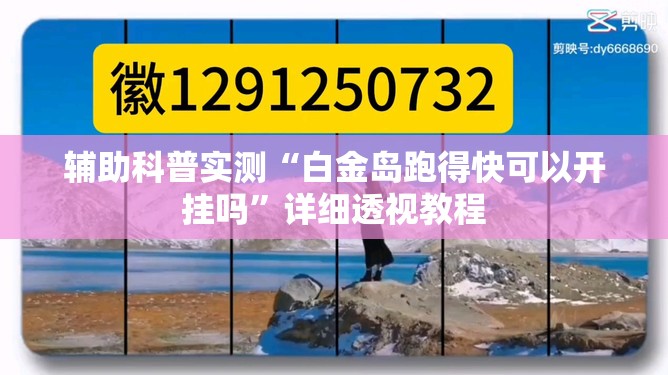 辅助科普实测“白金岛跑得快可以开挂吗	”详细透视教程