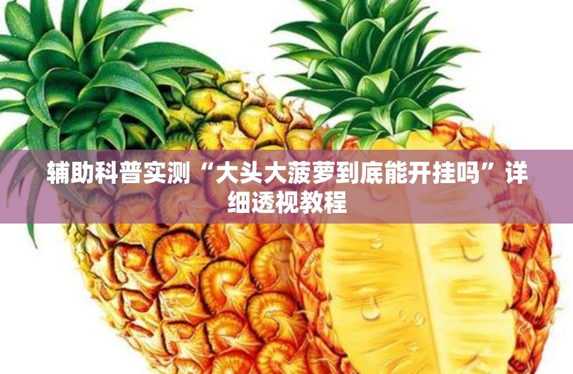 辅助科普实测“大头大菠萝到底能开挂吗”详细透视教程