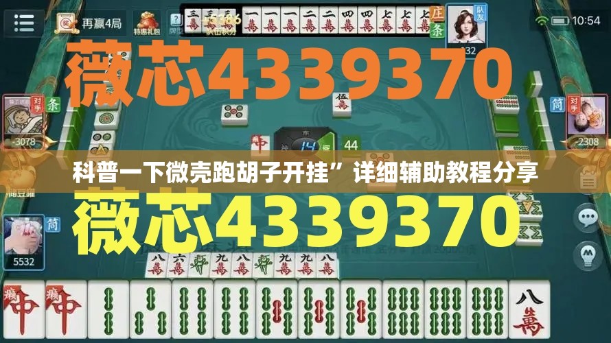 科普一下微壳跑胡子开挂	”详细辅助教程分享