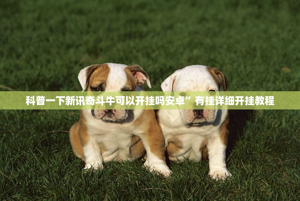 科普一下新讯奇斗牛可以开挂吗安卓	”有挂详细开挂教程