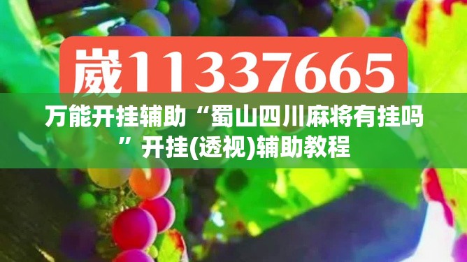 万能开挂辅助“蜀山四川麻将有挂吗”开挂(透视)辅助教程