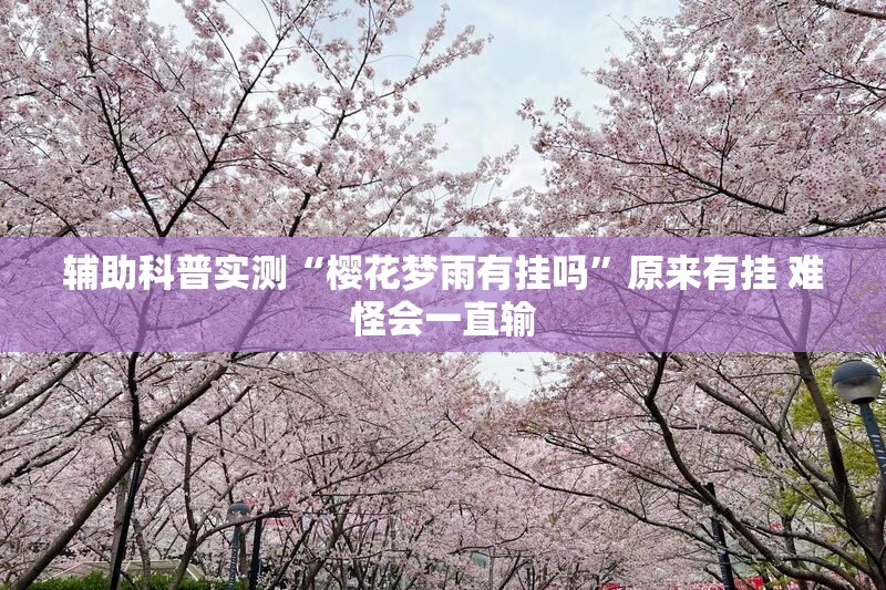 辅助科普实测“樱花梦雨有挂吗”原来有挂 难怪会一直输